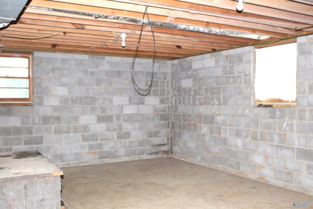 basement with plenty of natural light