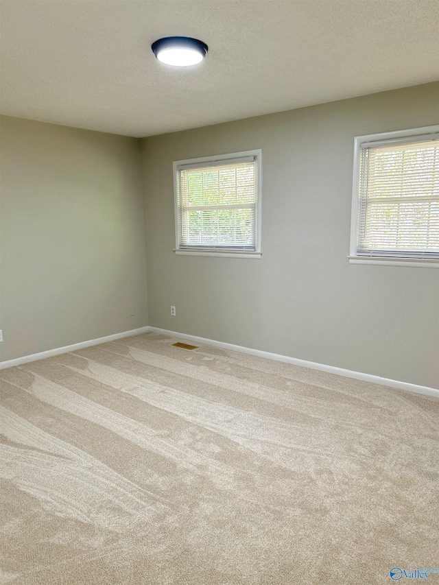 unfurnished room featuring carpet floors, a wealth of natural light, and a textured ceiling