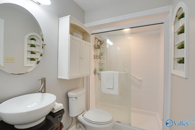 bathroom with sink, toilet, and walk in shower