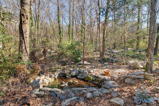 view of local wilderness