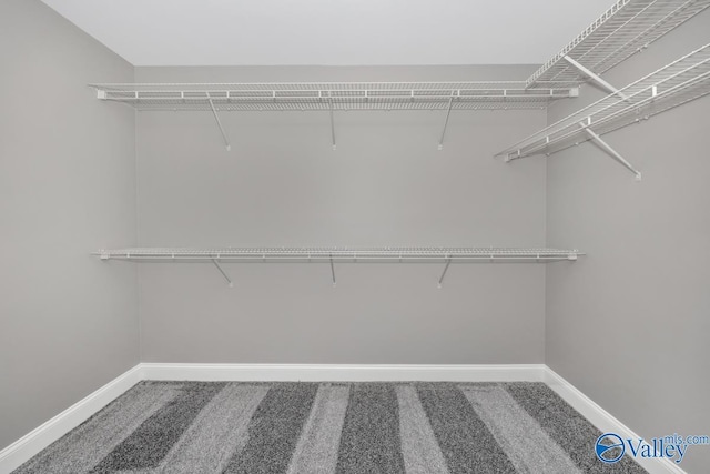 spacious closet featuring carpet floors