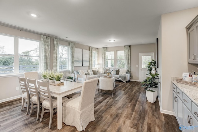 dining area featuring dark wood-type flooring, a healthy amount of sunlight, and baseboards