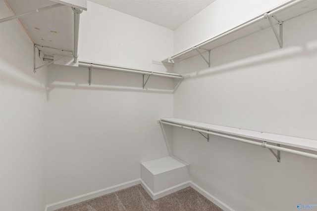 walk in closet with light carpet