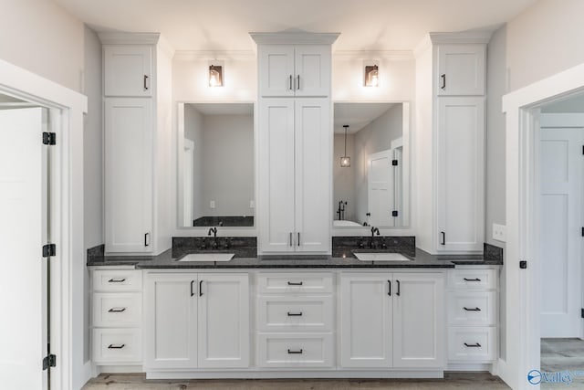 bathroom featuring wood-type flooring and vanity