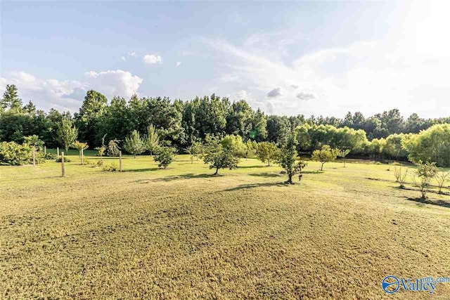 view of yard with a rural view