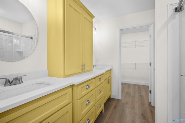 bathroom with a sink, a spacious closet, double vanity, and wood finished floors