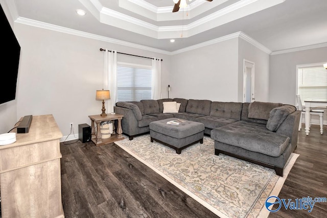 living area featuring dark wood-style flooring, crown molding, a raised ceiling, a ceiling fan, and baseboards