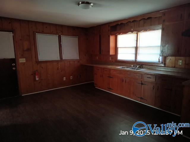 kitchen featuring sink, dark hardwood / wood-style floors, and wood walls