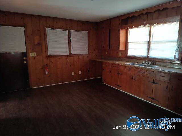 kitchen featuring dark hardwood / wood-style flooring, wooden walls, and sink