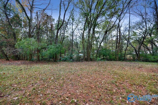 2512 Vista Dr SE, Huntsville, AL 35803 - view of yard