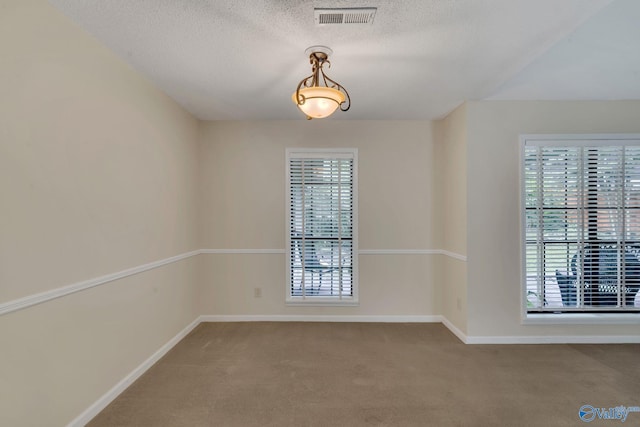 carpeted empty room featuring a textured ceiling and plenty of natural light