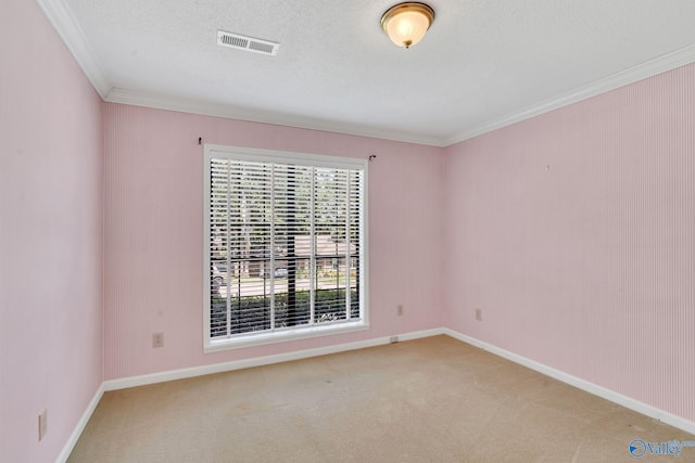 carpeted empty room with ornamental molding and a textured ceiling