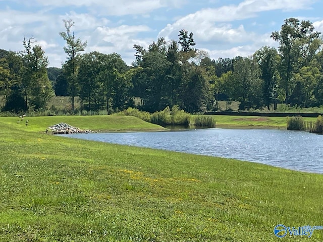 property view of water