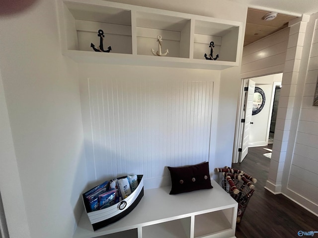 mudroom with dark wood-type flooring