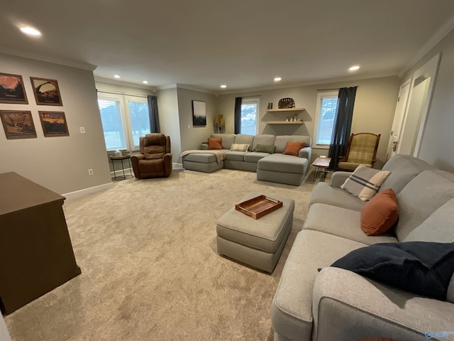 carpeted living room with ornamental molding and a healthy amount of sunlight