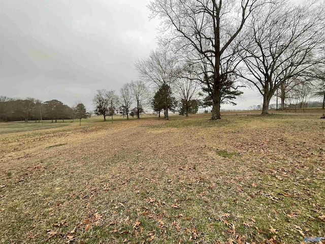 view of yard featuring a rural view