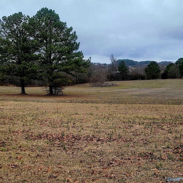 view of yard featuring a rural view