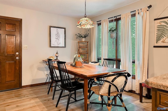 3103 Burningtree Mountain Rd, Decatur, AL 35603 - dining area with light wood-type flooring and baseboards