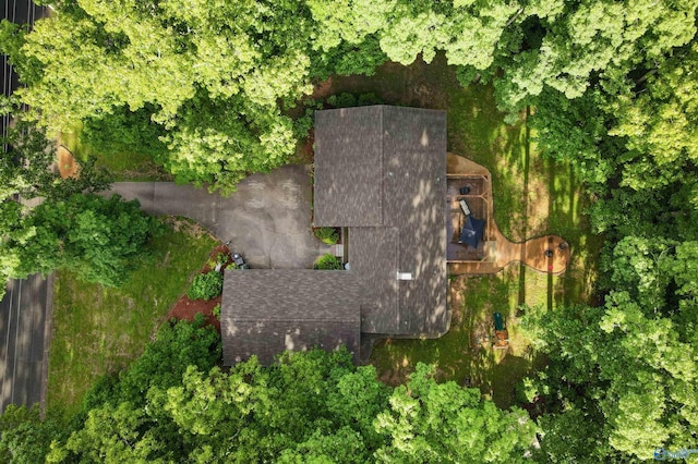 3103 Burningtree Mountain Rd, Decatur, AL 35603 - view from above of property