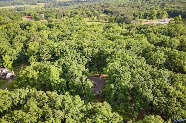 3103 Burningtree Mountain Rd, Decatur, AL 35603 - aerial view of property and surrounding area featuring a forest