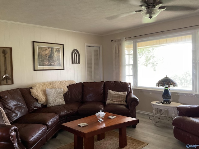living area with ceiling fan, a textured ceiling, light wood-type flooring, baseboards, and ornamental molding