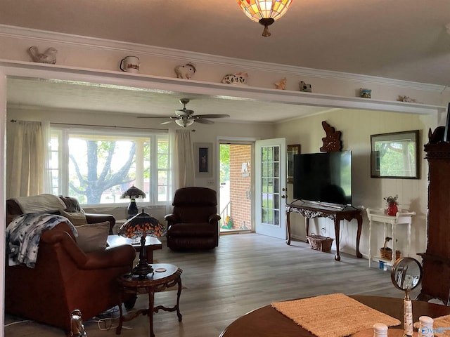 living area featuring a ceiling fan, ornamental molding, and wood finished floors