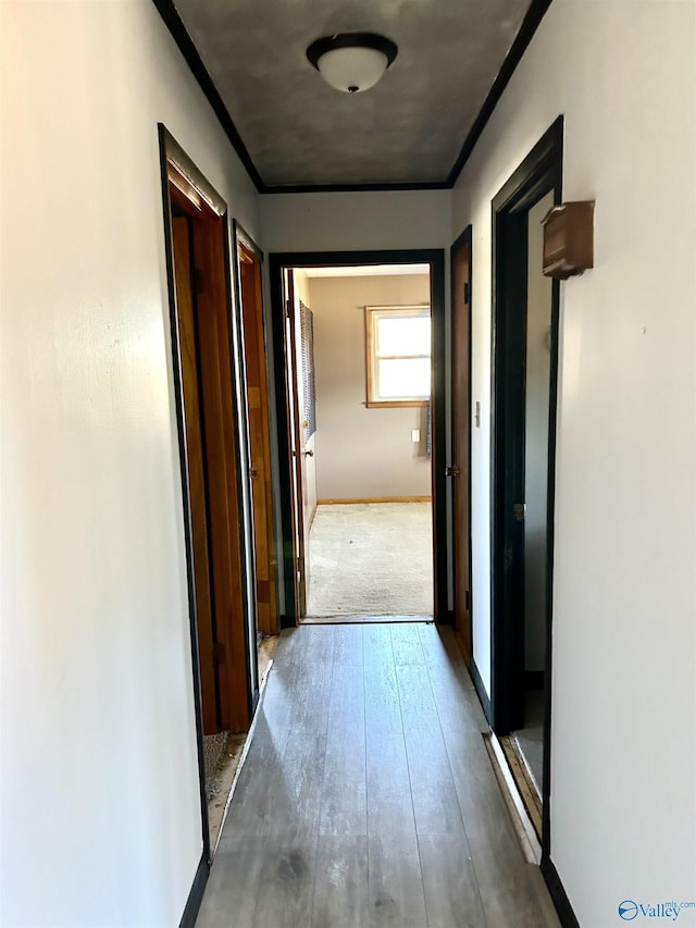 hallway with wood-type flooring