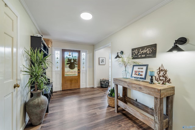 foyer with crown molding and dark hardwood / wood-style flooring