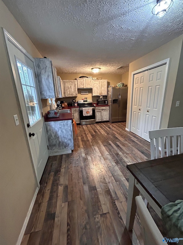 kitchen featuring sink, a textured ceiling, dark hardwood / wood-style floors, and stainless steel appliances