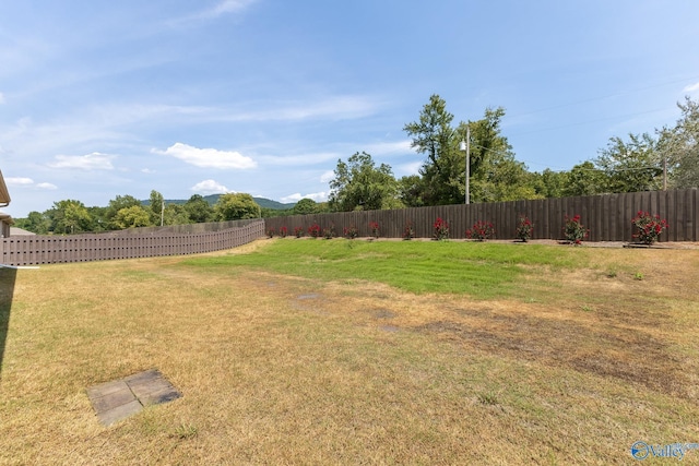 view of yard featuring a fenced backyard