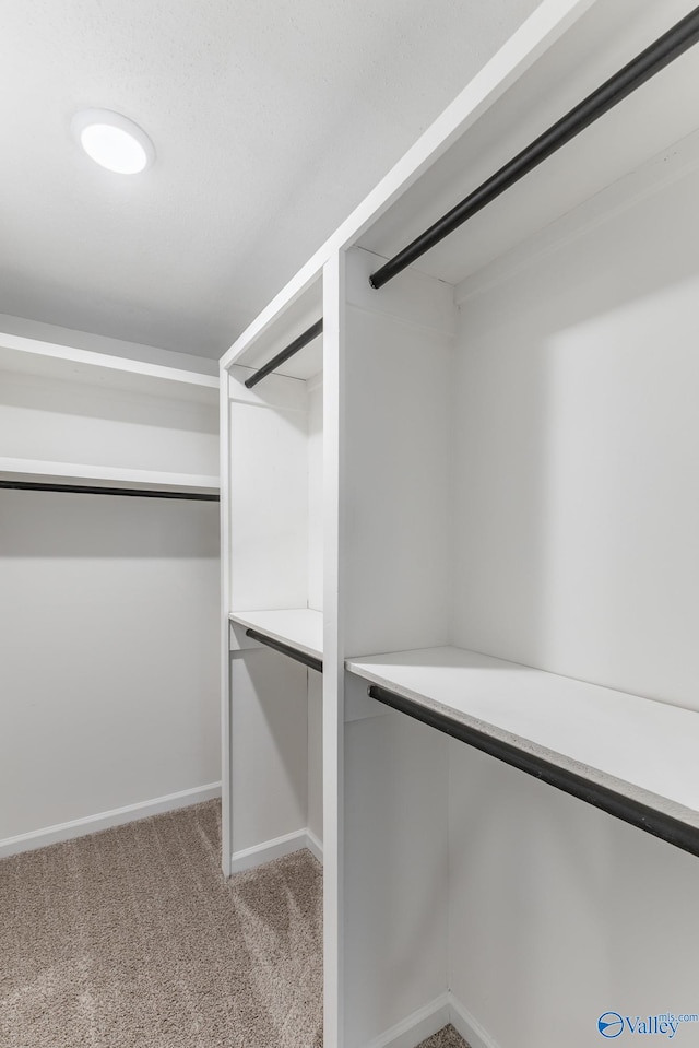 walk in closet with light colored carpet