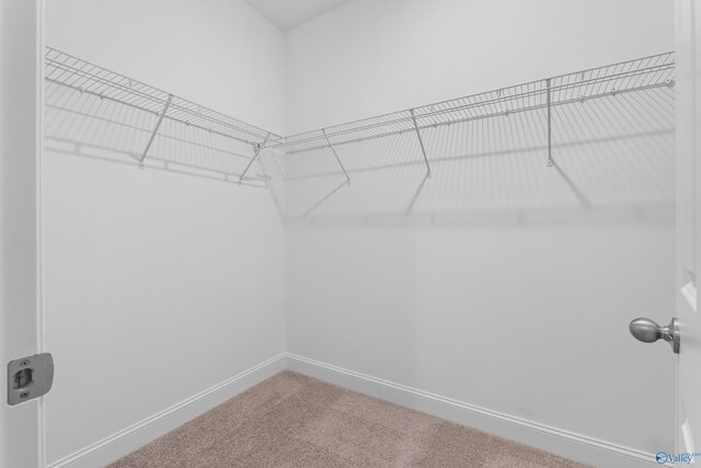 122 Burdine St, New Market, AL 35761 - spacious closet with carpet floors