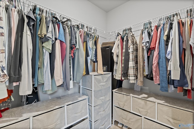117 Hank Ct, Hazel Green, AL 35750 - view of spacious closet