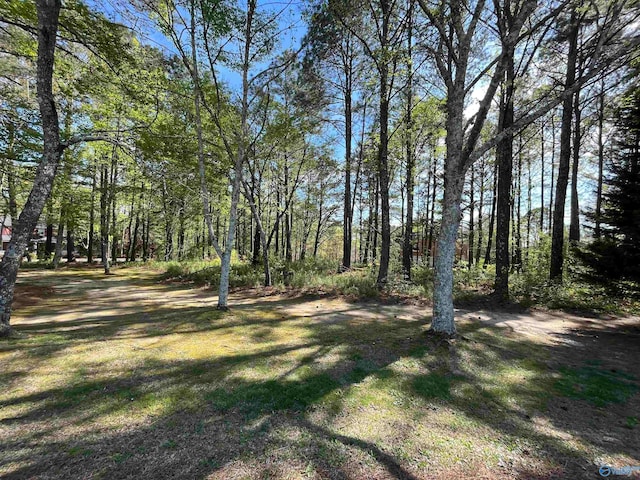 Listing photo 3 for LOT1 Beech Rdg, Gadsden AL 35901