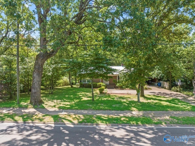 view of property hidden behind natural elements featuring a front yard