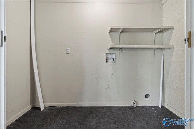 clothes washing area featuring carpet floors and washer hookup