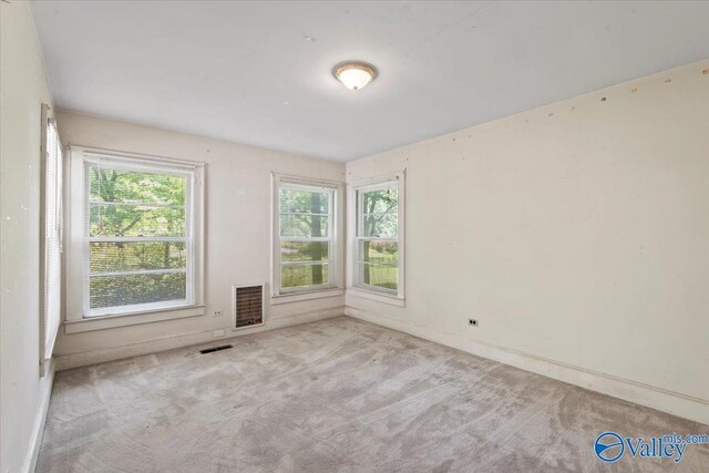 carpeted empty room featuring plenty of natural light