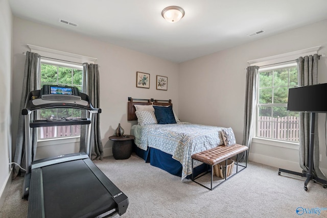 155 Holbrook Dr, Huntsville, AL 35806 - carpeted bedroom featuring multiple windows