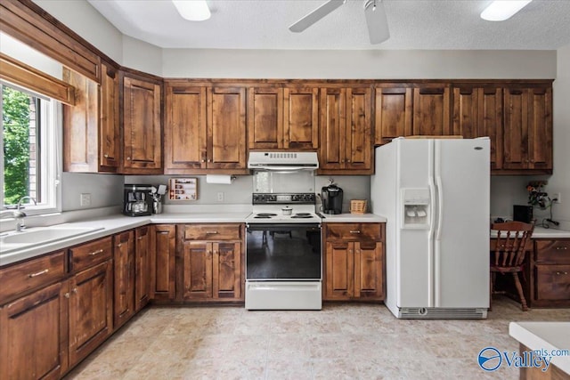 kitchen with under cabinet range hood, white appliances, a sink, a ceiling fan, and light countertops