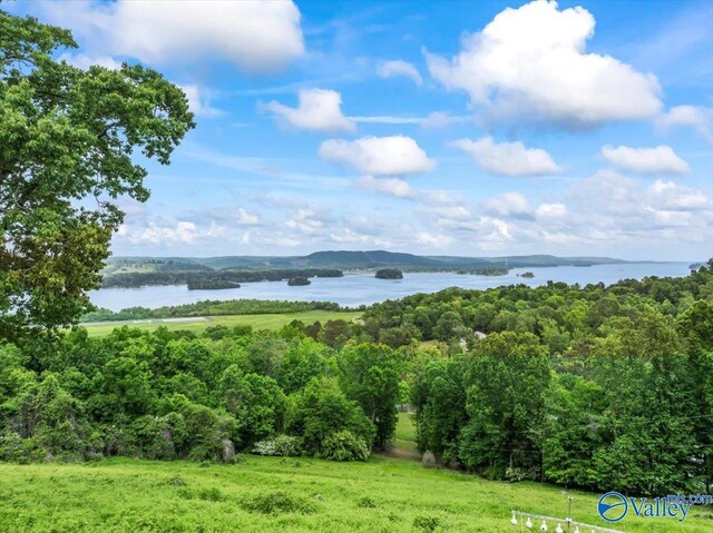 property view of water