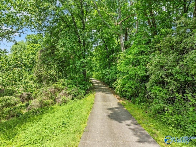 view of road