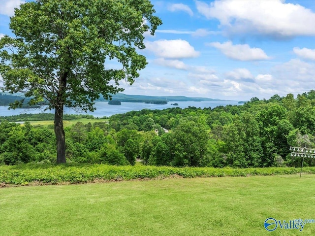 mountain view featuring a water view