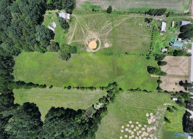 1167 County Road 181, Lexington, AL 35648