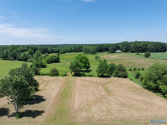 1167 County Road 181, Lexington, AL 35648