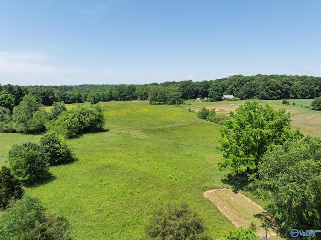 1167 County Road 181, Lexington, AL 35648
