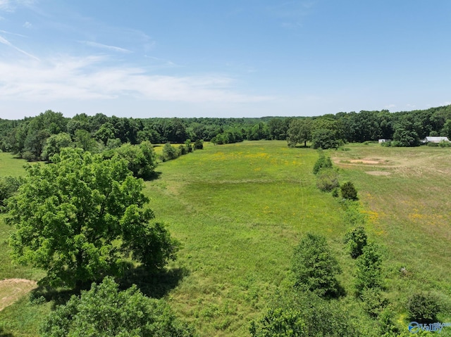 1167 County Road 181, Lexington, AL 35648