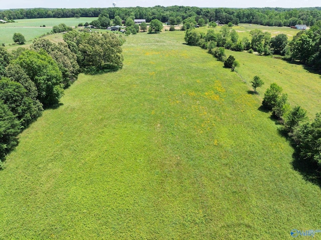 1167 County Road 181, Lexington, AL 35648