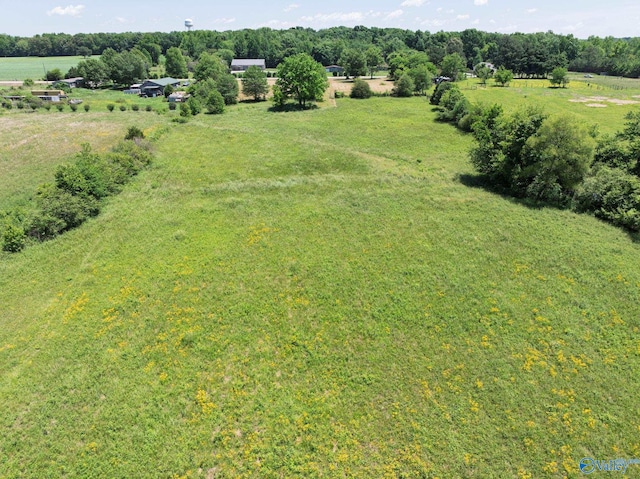 1167 County Road 181, Lexington, AL 35648
