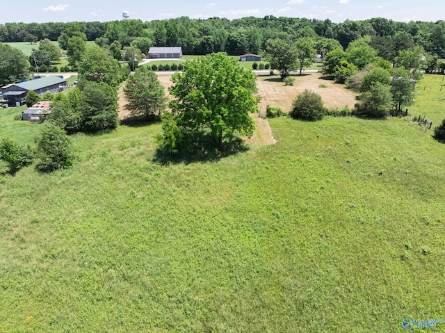 1167 County Road 181, Lexington, AL 35648