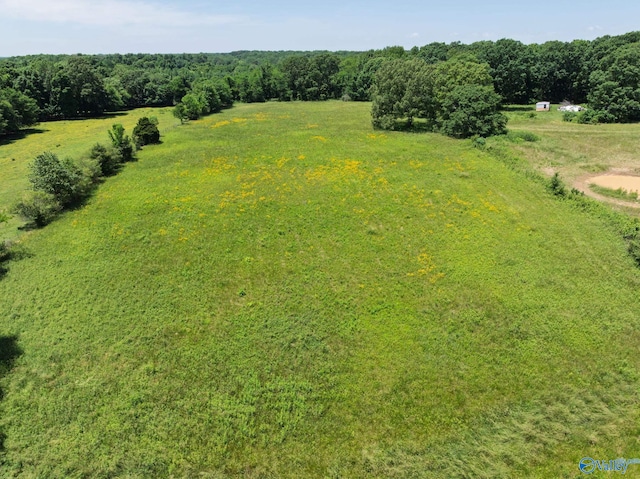 1167 County Road 181, Lexington, AL 35648